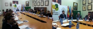 consejo_asesor_irs