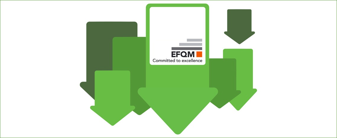 efqm