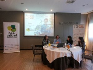 La función del DIRSE en las organizaciones del siglo XXI