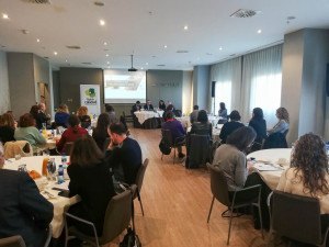 La función del DIRSE en las organizaciones del siglo XXI