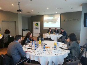 La función del DIRSE en las organizaciones del siglo XXI