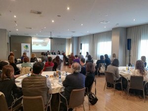 La función del DIRSE en las organizaciones del siglo XXI