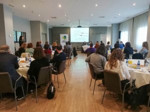 La función del DIRSE en las organizaciones del siglo XXI