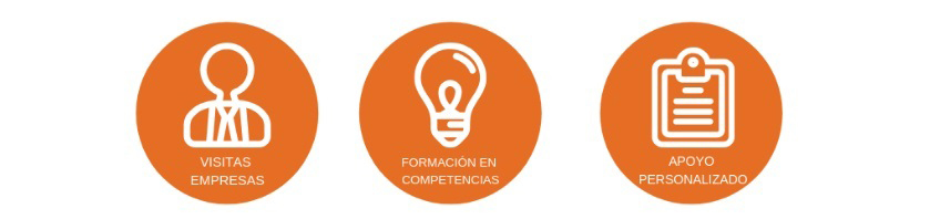 Proyecto: Habilidades para el Empleo Futuro III