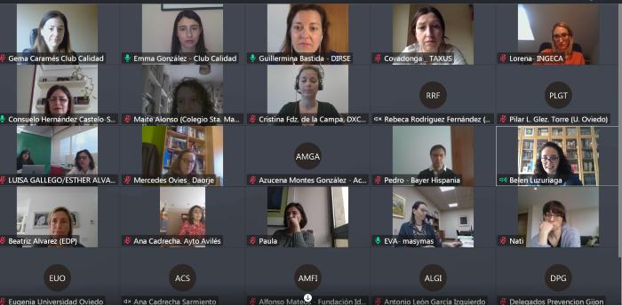 Reunión Grupo de Trabajo de DIRSE