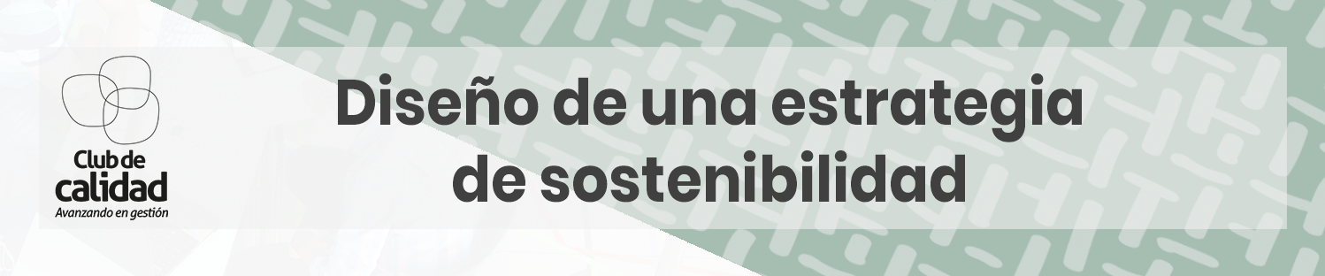 Formación: Diseño de una estrategia de sostenibilidad